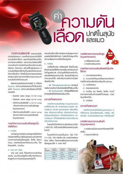 ความดันเลือดปกติใน สนุข และ แนว
