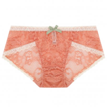 Tangerine Lace Brief