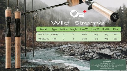 Wild Streme