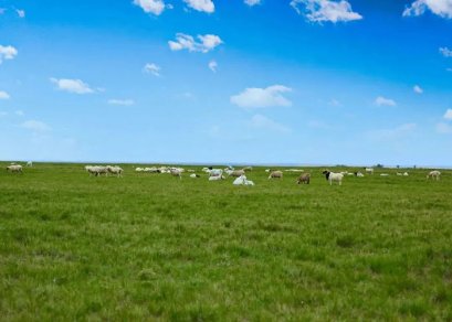 ทัวร์จีน-มองโกเลียใน