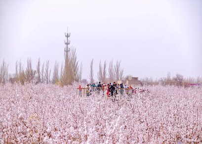 ทัวร์จีน-ซินเจียงเหนือ