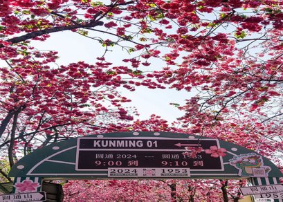 ทัวร์จีน-คุนหมิง