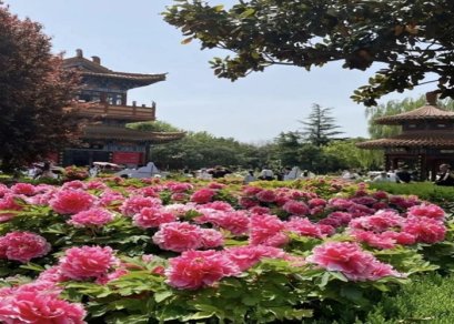 ทัวร์จีน-ซีอาน