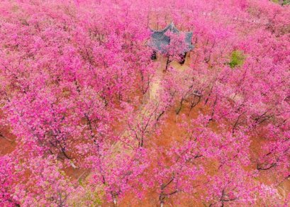 ทัวร์จีน-คุนหมิง