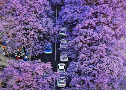 ทัวร์จีน-คุนหมิง