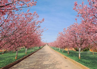 ทัวร์จีน-คุนหมิง