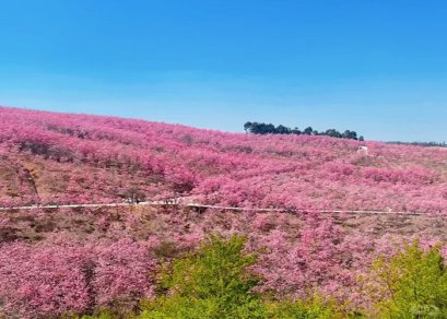 ทัวร์จีน-คุนหมิง