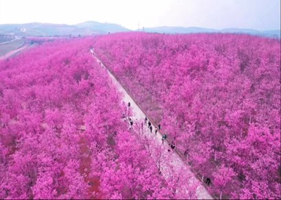 ทัวร์จีน-คุนหมิง