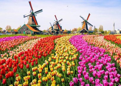 ทัวร์เบลเยี่ยม