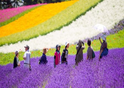 ทัวร์ญี่ปุ่น-ฮอกไกโด