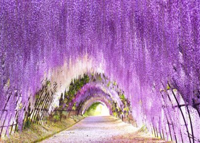 ทัวร์ญี่ปุ่น-ฟุกุโอกะ