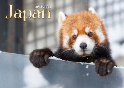 ทัวร์ญี่ปุ่น-ฮอกไกโด