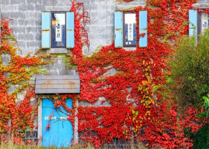 ทัวร์ญี่ปุ่น-ฮอกไกโด