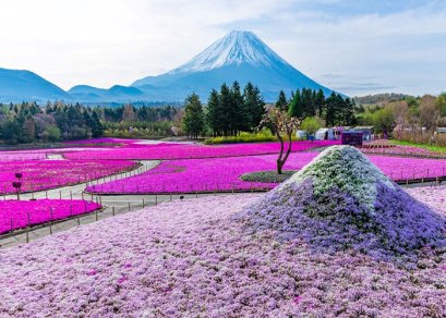 ทัวร์ญี่ปุ่น-โตเกียว