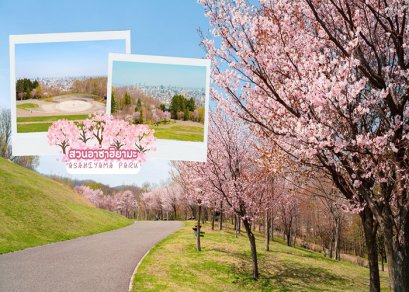 ทัวร์ญี่ปุ่น-ฮอกไกโด