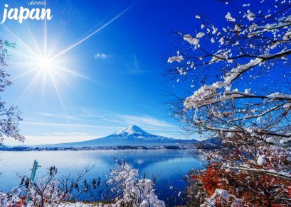 ทัวร์ญี่ปุ่น-โตเกียว