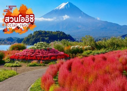 ทัวร์ญี่ปุ่น-โตเกียว