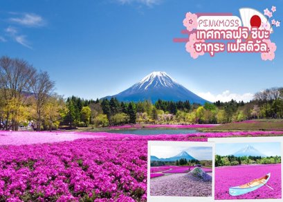 ทัวร์ญี่ปุ่น-โตเกียว