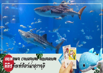 ทัวร์ญี่ปุ่น-โอกินาว่า