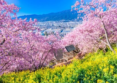 ทัวร์ญี่ปุ่น-โตเกียว