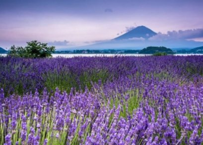 ทัวร์ญี่ปุ่น-โตเกียว