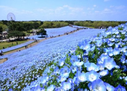 ทัวร์ญี่ปุ่น-โตเกียว