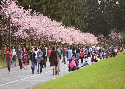 ทัวร์ไต้หวัน