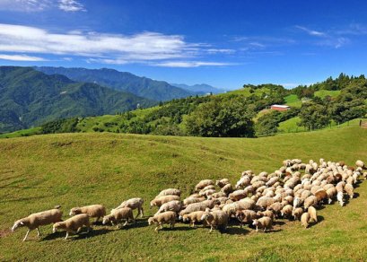 ทัวร์ไต้หวัน