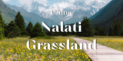 ทุ่งหญ้านาลาถี ดินแดนแห่งเทพนิยาย 