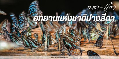 อุทยานแห่งชาติปางสีดา