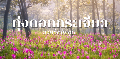 ทุ่งดอกกระเจียว 