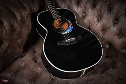 Takamine planet earth crescent limited Edition