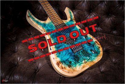 Skervesen Raptor6