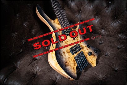 Skervesen Shoggie 6 Multiscale