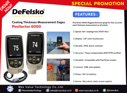 Defelsko Positector 6000