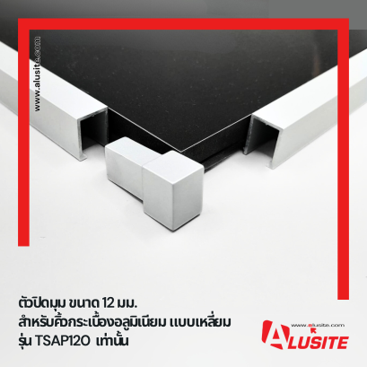 เข้ามุม-คิ้วอลูมิเนียมแบบเหลี่ยม (CN-TSAP Series)