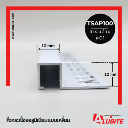 TSAP100 ยาว 2 เมตร