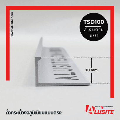 TSD100 ยาว 2.5 เมตร