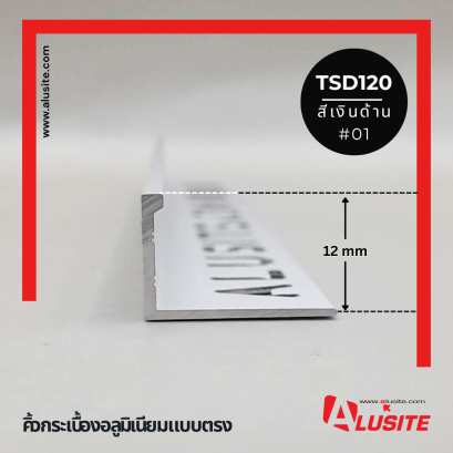 TSD120 ยาว 2 เมตร