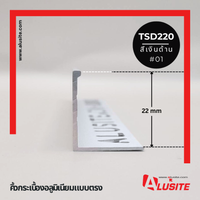 TSD220 ยาว 2.5 เมตร