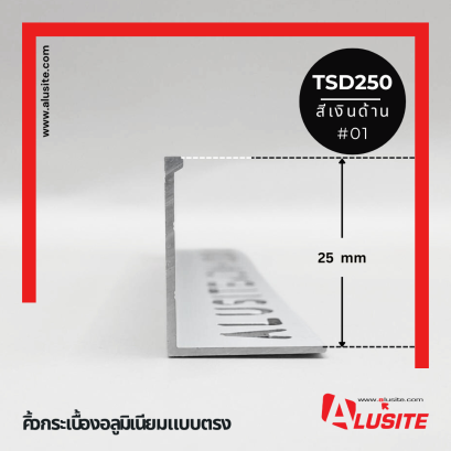 TSD250 ยาว 2.5 เมตร