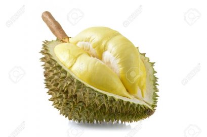 Durian