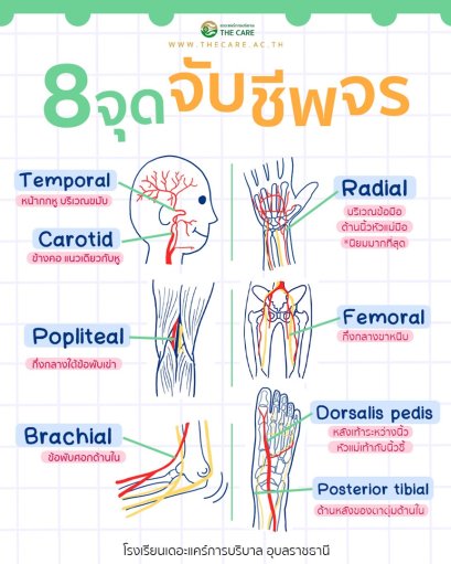 8 จุดจับชีพจร