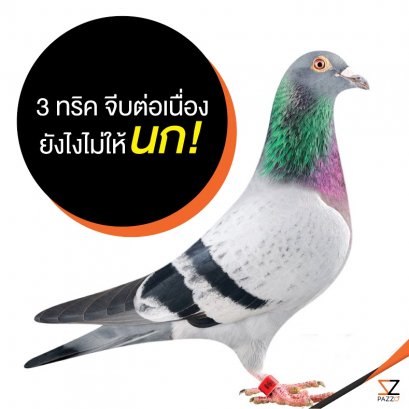 3 ทริค จีบต่อเนื่อง ยังไงไม่ให้นก!