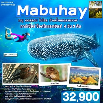 ทัวร์ฟิลิปปินส์ เซบู ออสลอบ โบโฮล ว่ายน้ำชมฉลามวาฬ 4 วัน 3 คืน - 5J