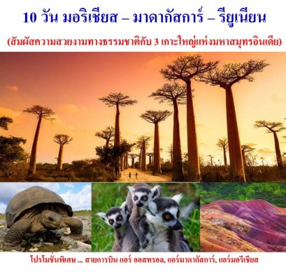 ทัวร์มอริเชียส มาดากัสการ์ เกาะรียูเนียน บินภายใน 4 ขา 10 วัน 8 คืน -UU