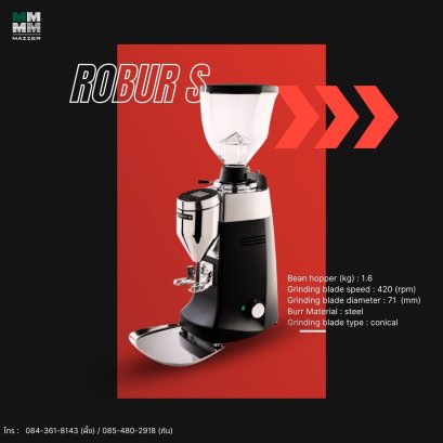Mazzer  Robur S