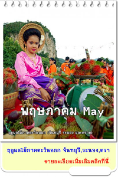 พฤษภาคม