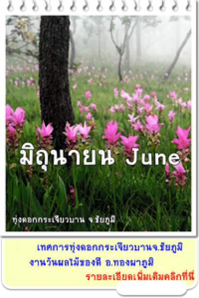 มิถุนายน
