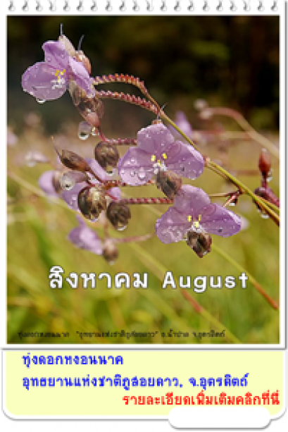 สิงหาคม